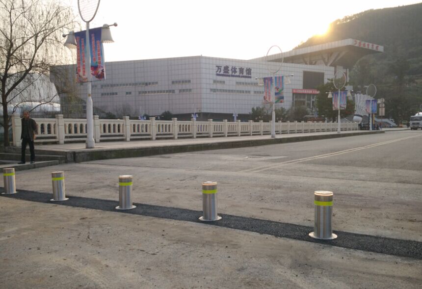 ��ʢ������������·׮